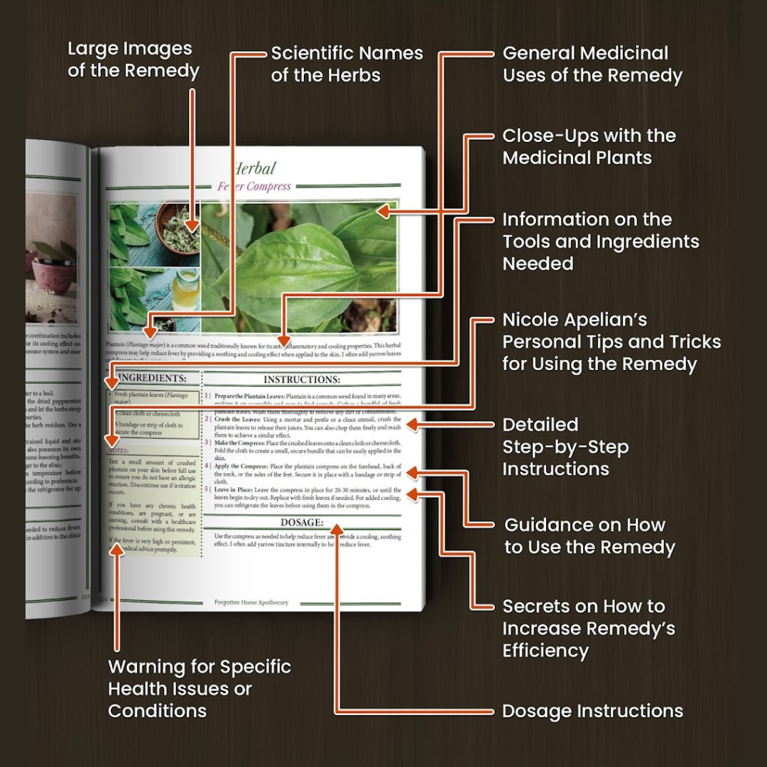 Forgotten Home Apothecary